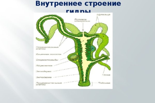 Кракен ссылка маркет