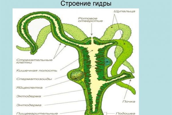 Кракен продажа